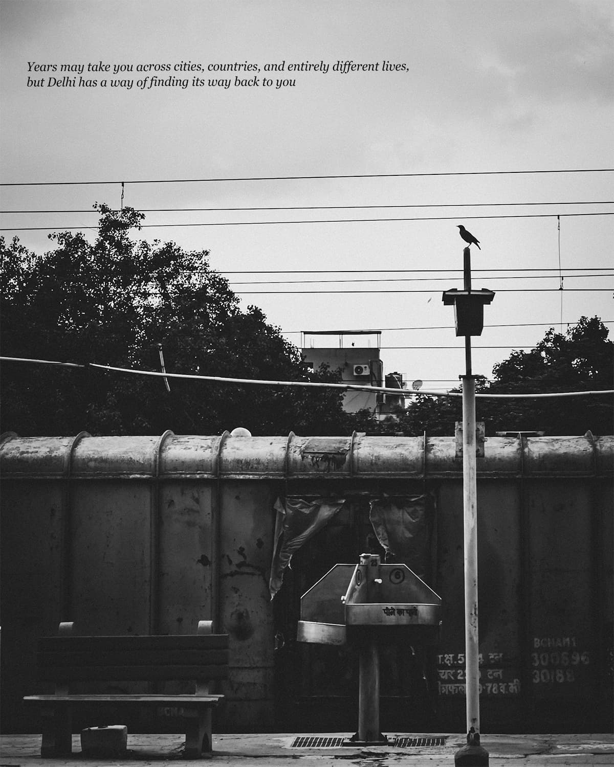 A Letter From Delhi 4