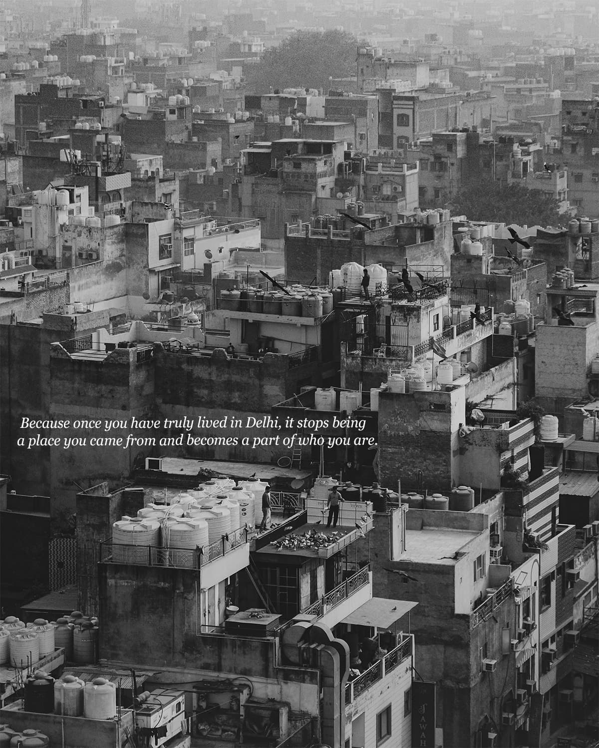 A Letter From Delhi 7
