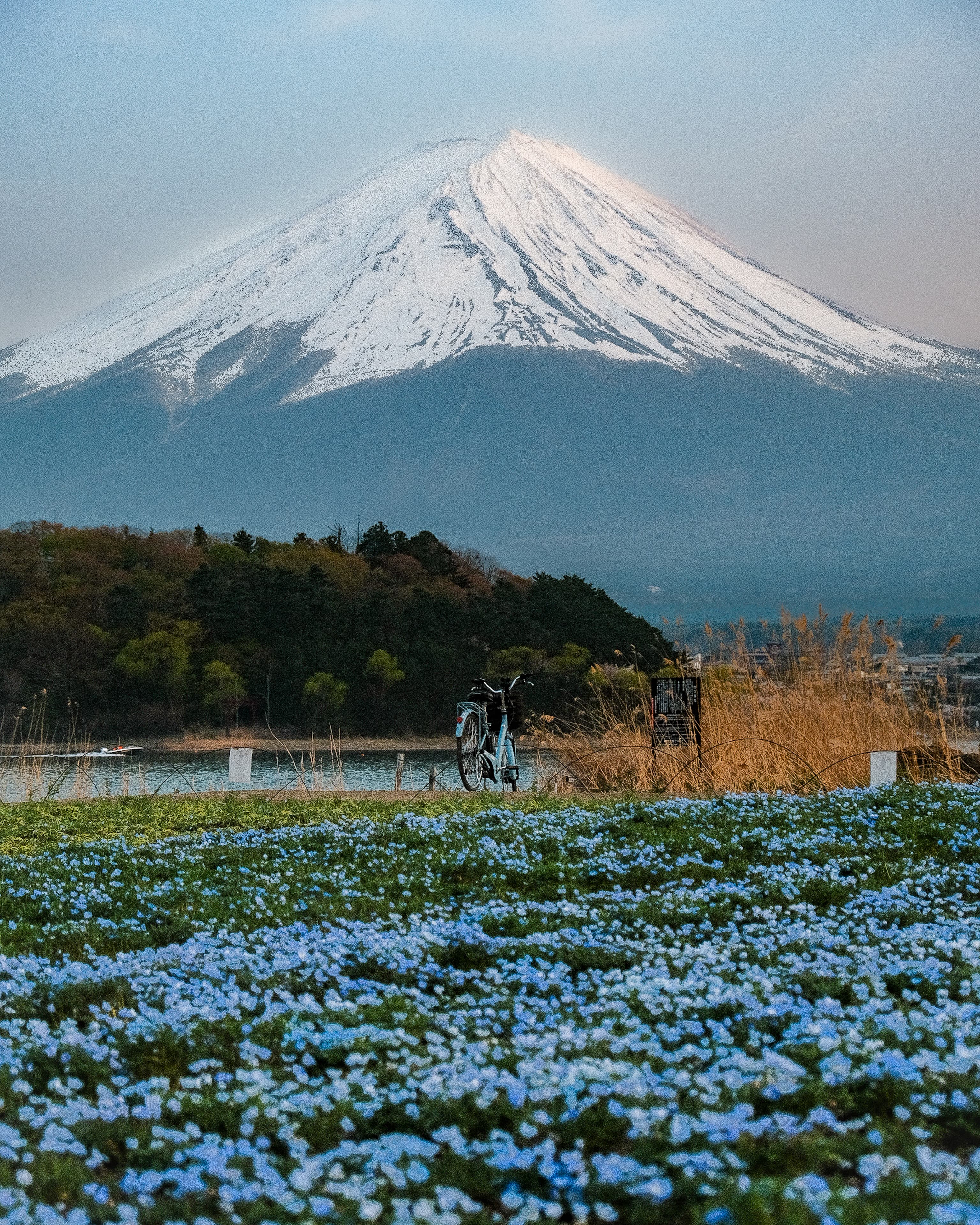 Japan between Lights & Shadows 20